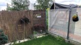 "Wymarzone ogrody": ogród Małgosi i Wojtka przed metamorfozą